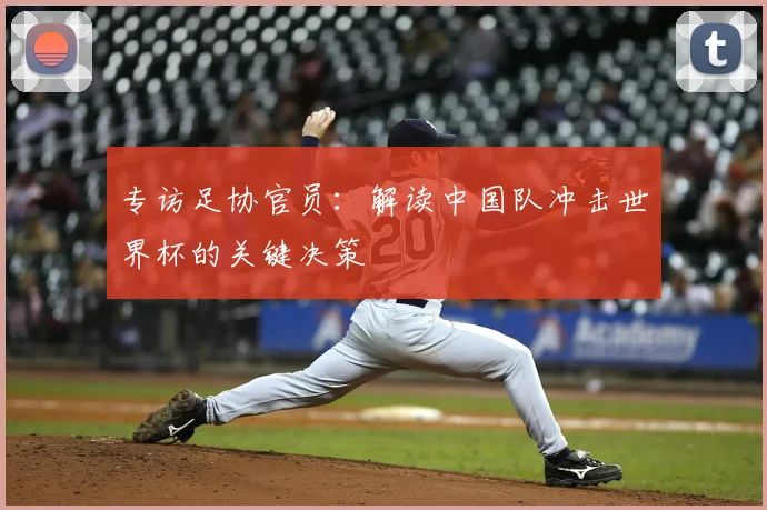 专访足协官员：解读中国队冲击世界杯的关键决策