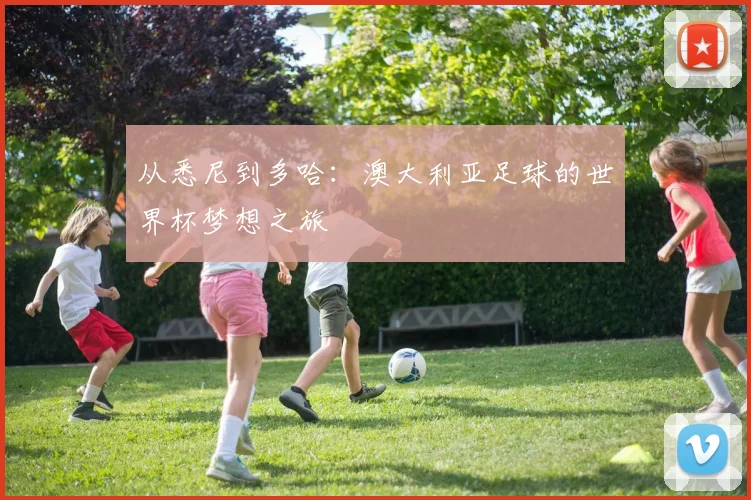 从悉尼到多哈：澳大利亚足球的世界杯梦想之旅